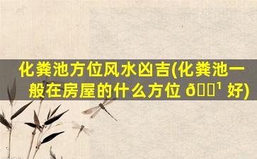 化粪池方位风水凶吉(化粪池一般在房屋的什么方位 🌹 好)